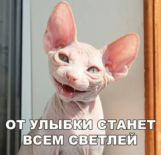 Дачные приметы, в которые верят даже опытные садоводы Дачные приметы, в которые верят даже опытные садоводы
