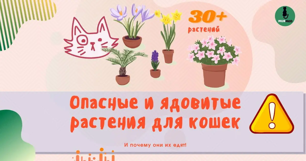 Следующие растения опасны для домашних животных