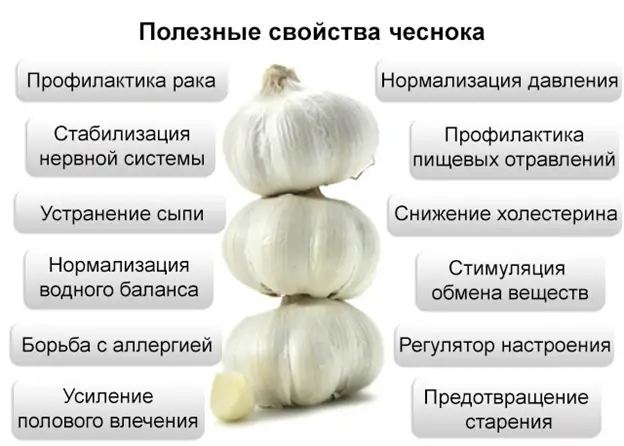 Как&nbsp; часто употреблять чеснок?
