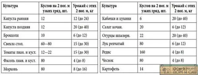 ленивый огород