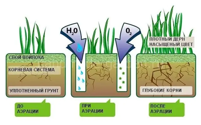 Аэрация грунта