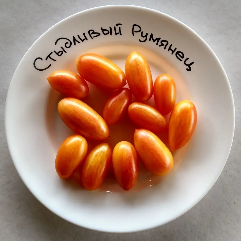 Томат черри Стыдливый румянец