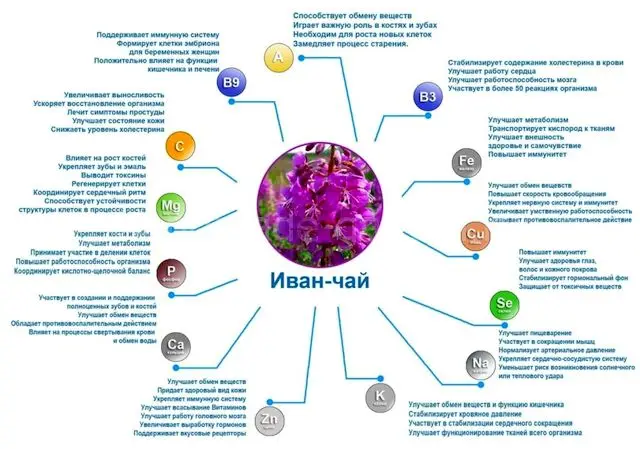 Какие витамины содержит иван-чай