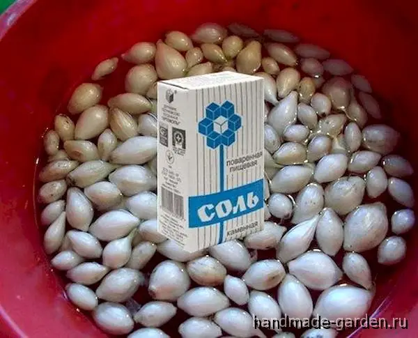 Обработка лука солью