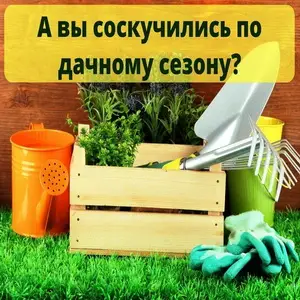 Эти советы помогут вам освоиться на даче и получить хороший урожай