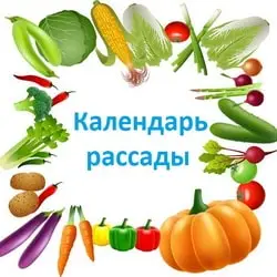 Когда сеять томаты на рассаду в апреле