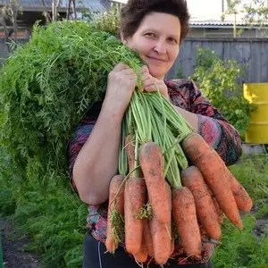 Научные доказательства пользы дачи для психики