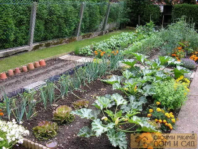 грядки