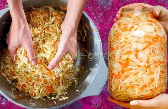 Как выбрать подходящую капусту для засолки на зиму Как выбрать подходящую капусту для засолки на зиму