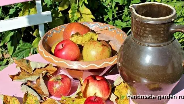 Как сделать вино из ранеток