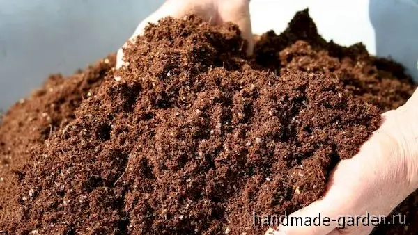 Лучшие удобрения для картофеля