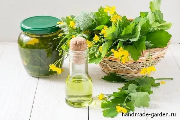 Безопасный инсектицид из чистотела Безопасный инсектицид из чистотела