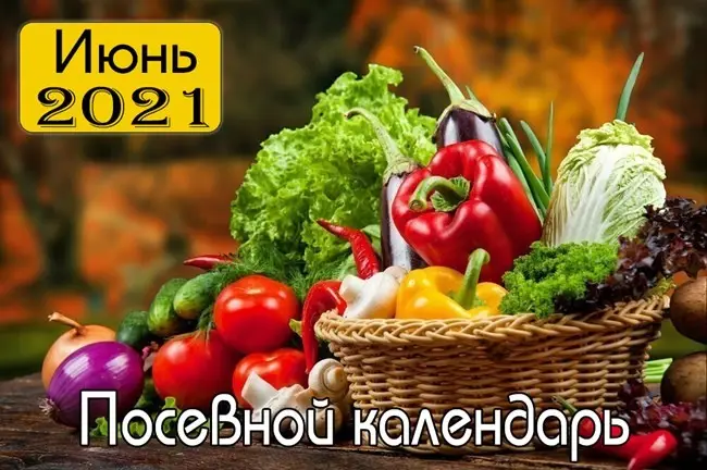 Лунный посадочный календарь на Июнь 2021 г.