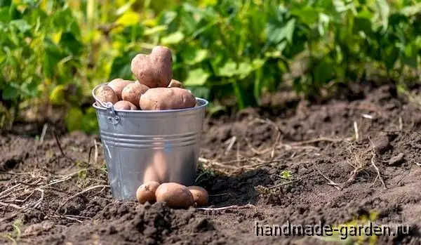 Какие удобрения нужны