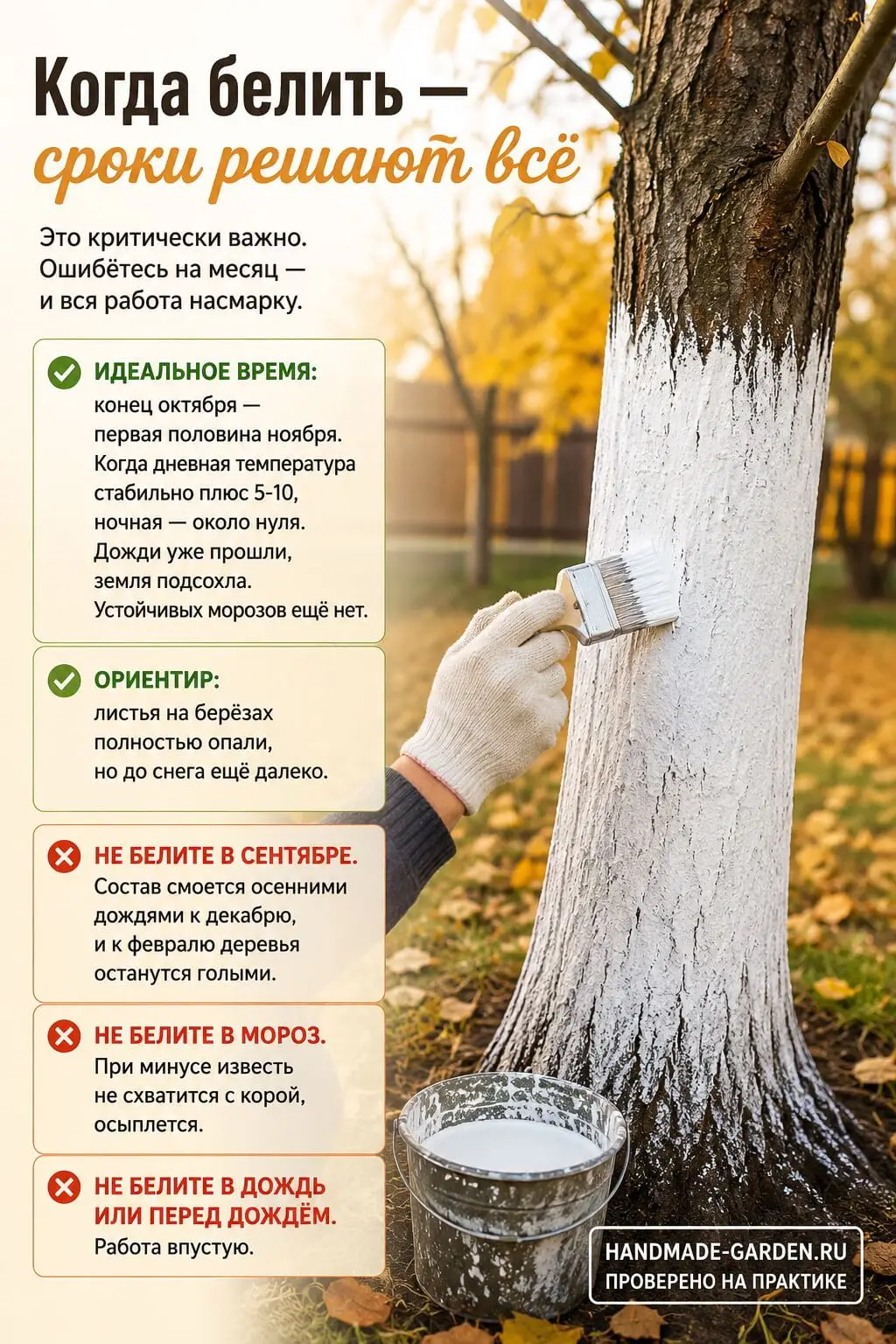 Когда белить