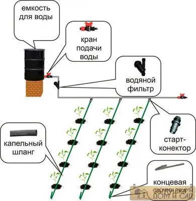 капельный полив