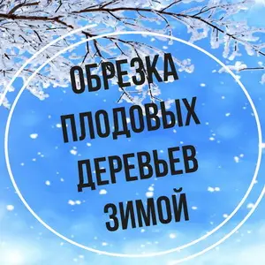Обрезка деревьев в саду зимой