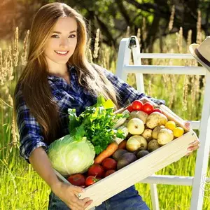 Сад, который растет сам: секреты ленивого земледелия