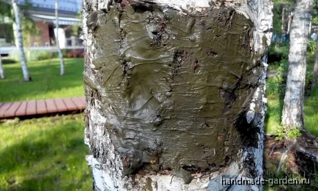 Искусственная кора Искусственная кора