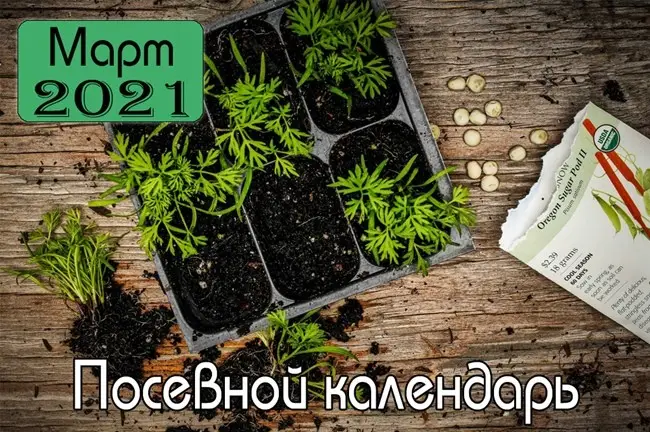 Благоприятные посадочные дни в Марте 2021 года Благоприятные посадочные дни в Марте 2021 года