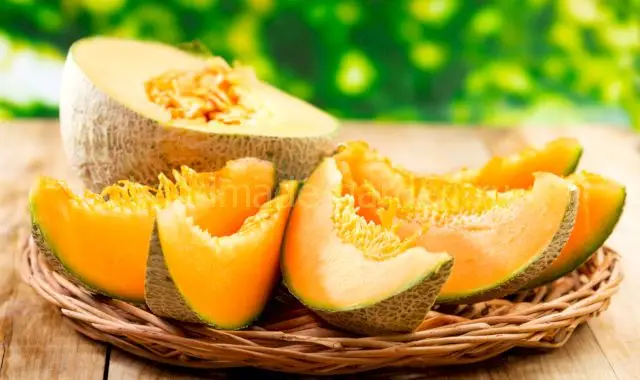 Благоприятные для выращивания бахчевых культур