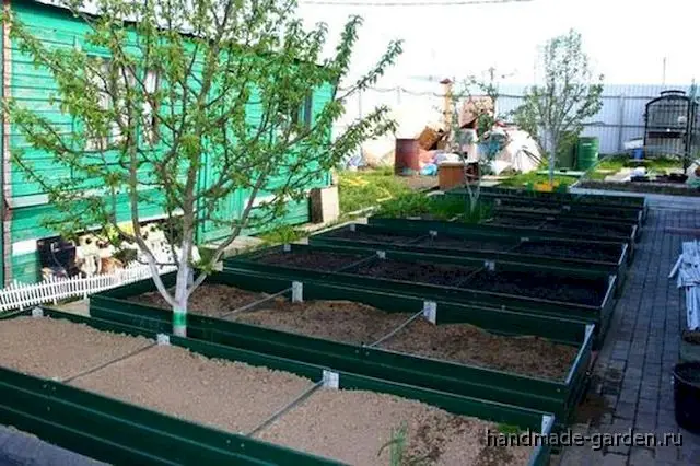 Место расположения грядок Место расположения грядок