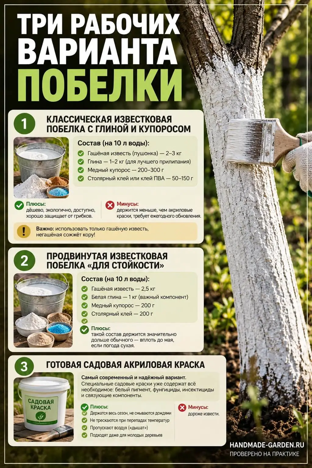 Три рабочих варианта побелки