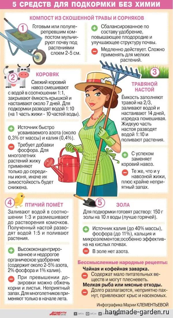Народные профилактические меры и борьба с болезнями и вредителями