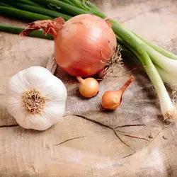 Июльский уход за чесноком и луком